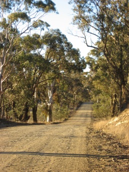 Marked Tree Rd, near Collector, New South Wales, Australia